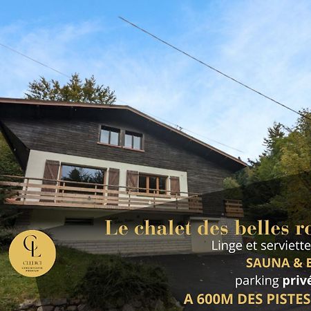 Chalet Des Belles Roches, 14 Pers, Garden, Sauna La Bresse Luaran gambar