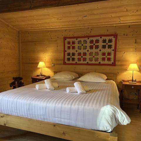 Chalet Des Belles Roches, 14 Pers, Garden, Sauna La Bresse Luaran gambar
